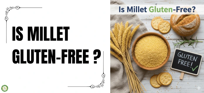 IS MILLET GLUTEN-FREE