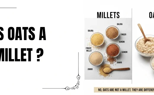 is oats a millet