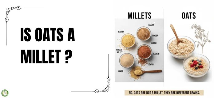 is oats a millet
