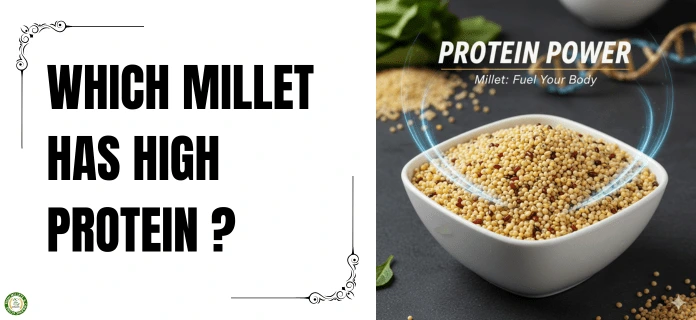 WHICH MILLET HAS HIGH PROTEIN