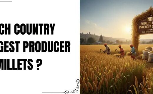 Which Country Is the Largest Producer of Millets