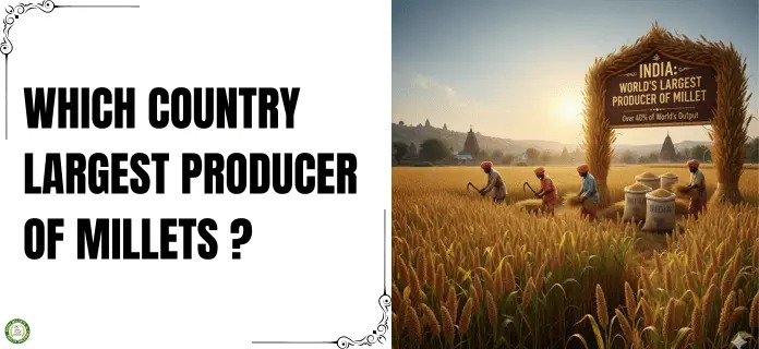 Which Country Is the Largest Producer of Millets