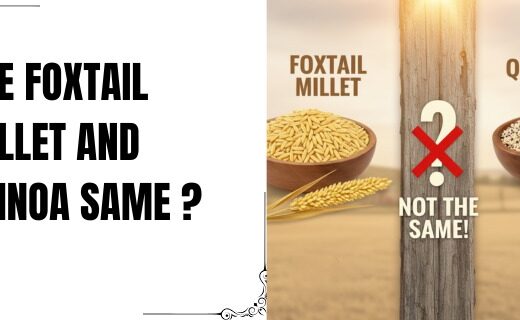 Is Foxtail Millet and Quinoa Same