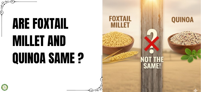 Is Foxtail Millet and Quinoa Same