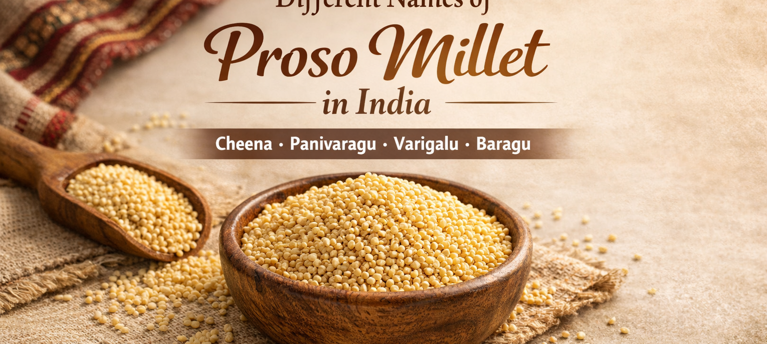 Proso millet grains in a wooden bowl showing different names like Cheena, Panivaragu, Varigalu and Baragu in India