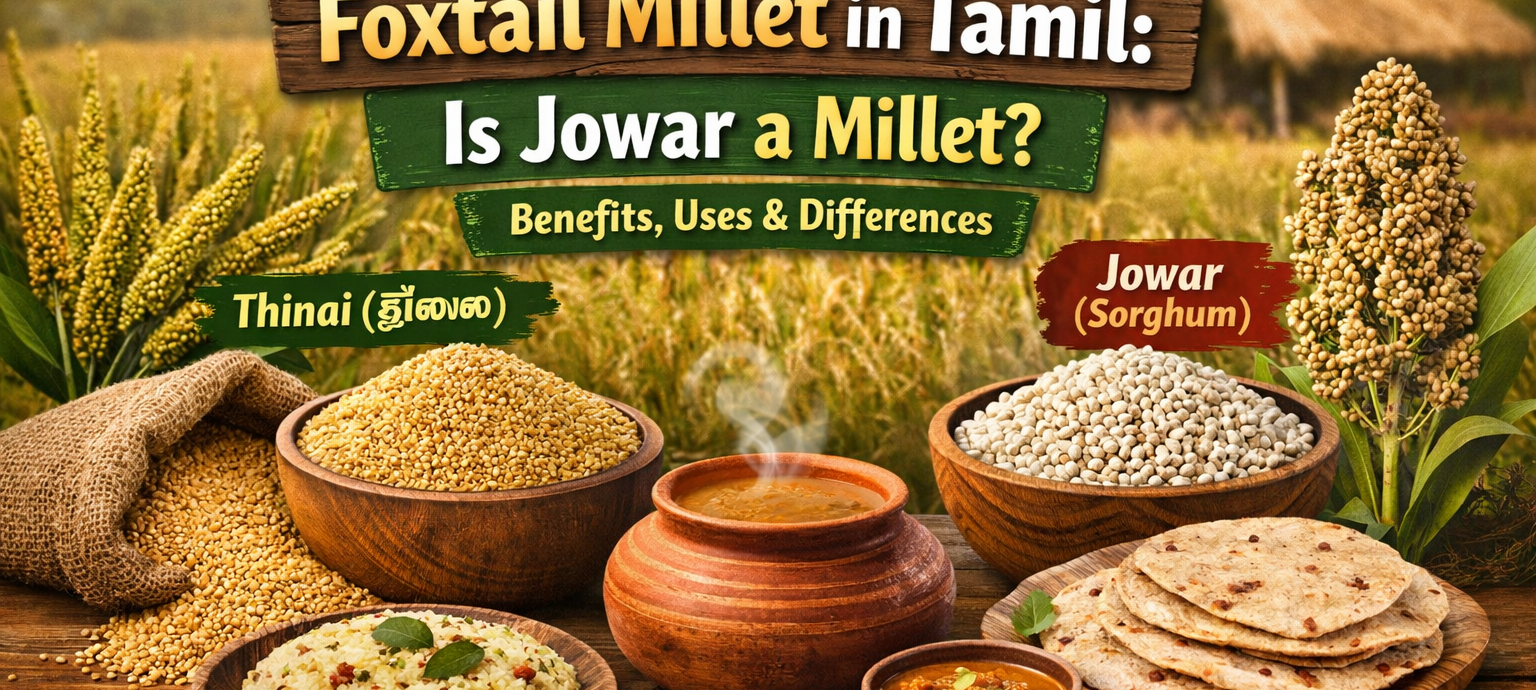 Foxtail millet (Thinai) and jowar grains with traditional Indian dishes, showing health benefits and differences between these nutritious millets